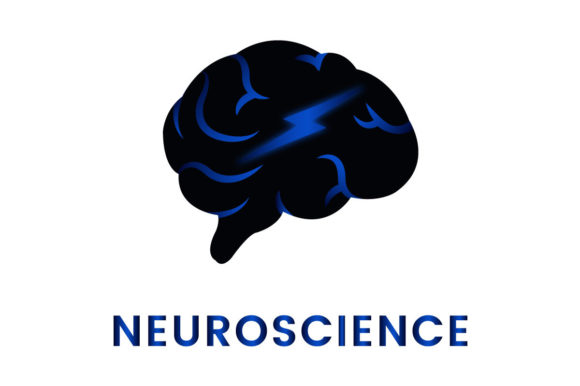 Evaluating the Utility of Brain Neuroscience Logo Design Assets for Modern Branding