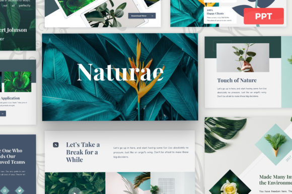 Strategic Visual Communication with Naturae - Powerpoint
